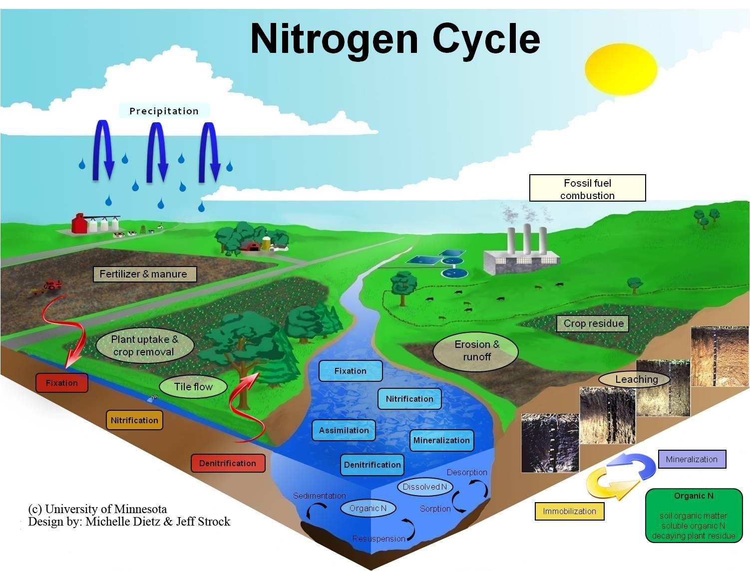 research article about nitrogen